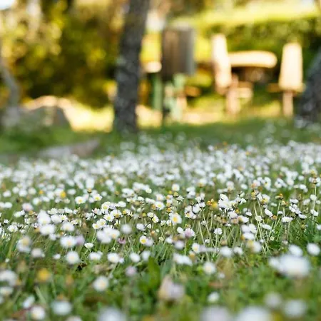 Quinta Dos Canteiros *