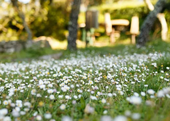 Quinta Dos Canteiros *