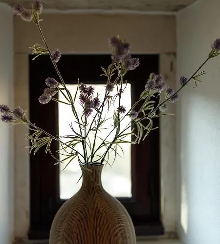 Quinta Dos Canteiros 别墅